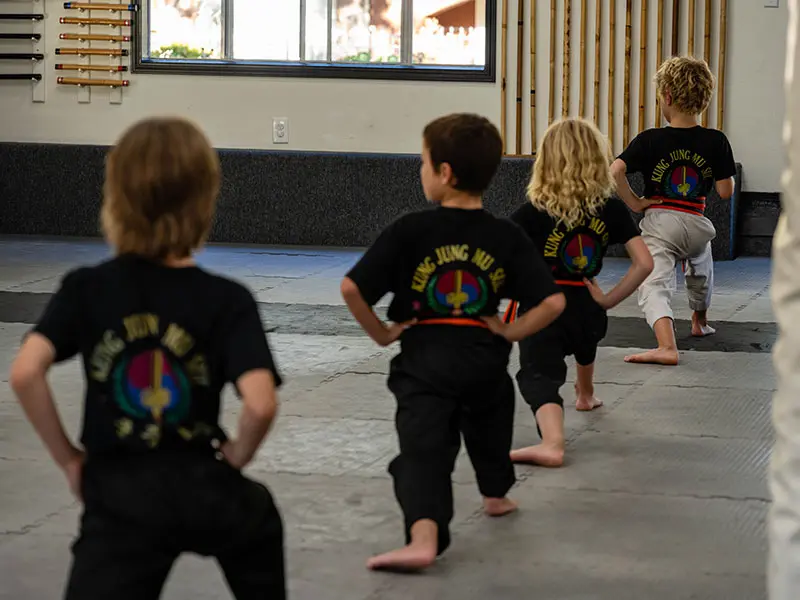 Kids Martial Arts Classes Near Me in Larkspur | Yang's Martial Arts Academy